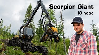 Ponsse Scorpion Giant  Norway [upl. by Keligot]