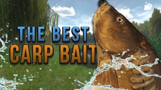 How To Catch Carp With Corn Easy and cheap bait for carp fishing [upl. by Lexerd499]