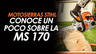 Te presentamos la Motosierra Stihl MS170 [upl. by Tamar]