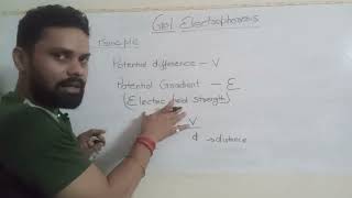 Gel Electrophoresis Technique Part1  Introduction and Principles [upl. by Eneleahs]