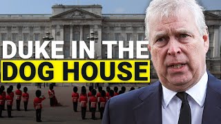 Prince Andrew quotmakes us look stupid to the entire worldquot  Public reacts to Duke of York allegations [upl. by Ydna]