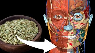 What happens when you eat fennel seeds everyday Amazing fennel seeds benefits [upl. by Pelletier]