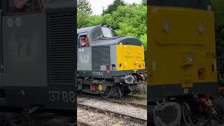 Europhoenix 37884 Cepheus DeanForest DieselGala railways E6003 SirHerbertWalker Parkend [upl. by Lorene]