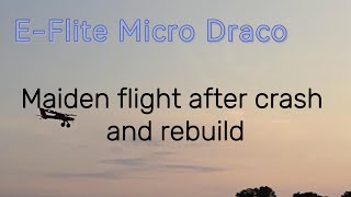 Micro Draco Maiden Flight after crash and rebuild Will it fly CottenFieldrc [upl. by Harriman303]