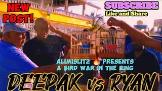 DEEPAK vs RYAN🔥CORRIVERTON BIRD RACING CLUB TOWA TOWA BIRD WHISTLING COMPETITION IN CORRIVERTON 🇬🇾 [upl. by Lussi]