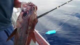 Catch the Big One Tips and Techniques for Deep Sea Fishing on the Ultimate Challengers Boa [upl. by Ataynik]