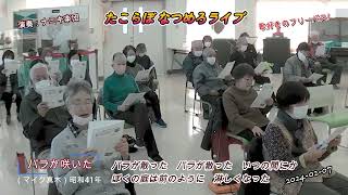 ナミキ楽団（バラが咲いた）マイク真木、58年前の唄。来場自由なライブ！ [upl. by Namas]