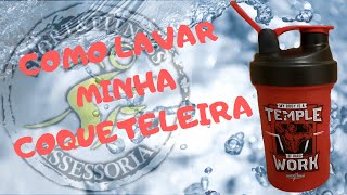 COMO UTILIZAR CORRETAMENTE SUA COQUETELEIRA [upl. by Aimee693]