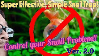 The Best Snail trap EVUR ramshorn aquariumsnails aquariums plantedtank [upl. by Rao357]