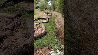 Sluice gate in action linked to clay ponds uk permaculture site permaculture nature tigwelding [upl. by Gill85]