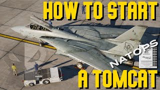 DCS F14 Tomcat Pilot Startup Tutorial  Real life procedures explained [upl. by Xaviera]