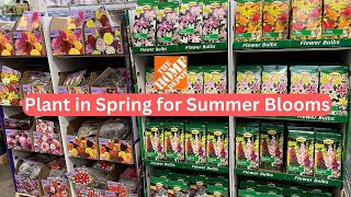 Shop with me at Home Depot Garden Center for SUMMER BULBS [upl. by Manlove]