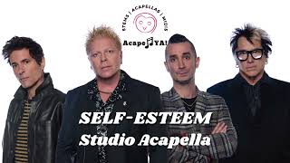 The Offspring  SelfEsteem Studio Acapella [upl. by Abram287]