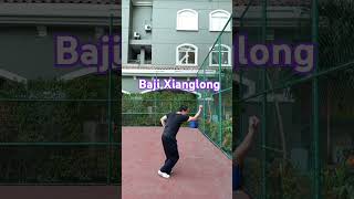 Bajiquan Xianglong bajiquan jingangbashi sports kungfu motivation [upl. by Annij]