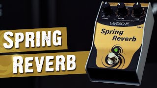 Pedal Spring Reverb  LANDSCAPE [upl. by Alleber]