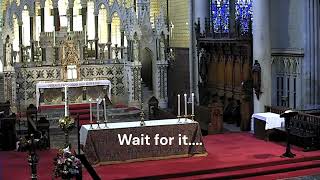 Organist urinating over church PA system before concert [upl. by Noid597]