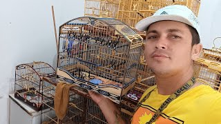 Feira de gaiolas do cordeiro gaiolas Aparti de 30 reais melhores preços [upl. by Trixie]