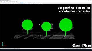 Détection automatique darbres dans un nuage de points DENDROMÉTRIE VisionLidar [upl. by Pearlman608]