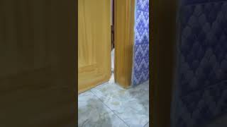 The moment the cat opens the door [upl. by Aneertak]