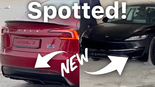 Ludicrous Model 3 SPOTTED Launch Imminent 👀 [upl. by Nairahcaz]