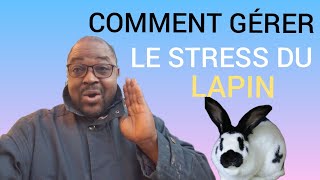 FORMATION EN ÉLEVAGE DES LAPINS  FORMULE ALIMENTAIRE POUR 25KG  ALIMENT LAPINS 🐰 [upl. by Axe]