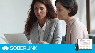 Soberlink Family Law Programs Level 1 vs Level 2 [upl. by Anada]