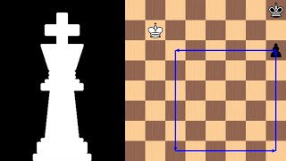 Can the King enter the box  Beginner to Chess Master 18 [upl. by Milah]