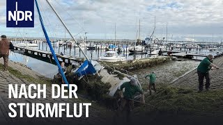 SchleswigHolstein Nach der JahrhundertSturmflut  Die Nordreportage  NDR Doku [upl. by Haimrej]