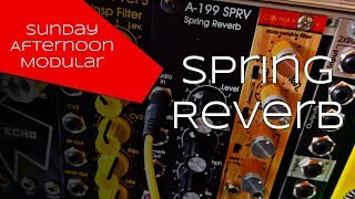 Doepfer A199 Spring Reverb with Accutronics Spring Tanks [upl. by Prebo685]