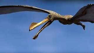 King of the Skies  Walking with Dinosaurs in HQ  BBC Earth [upl. by Agnesse]