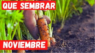 QUE PLANTAR en NOVIEMBRE CALENDARIO de SIEMBRA TODO lo que PUEDES SEMBRAR [upl. by Horowitz]