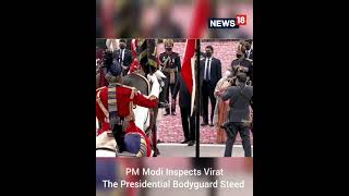 Virat Horse Retirement Video  Virat Presidential Bodyguard  Republic Day  Shorts  CNN News18 [upl. by Ahsaetal]