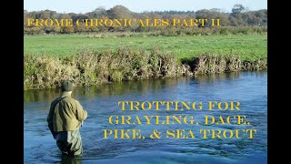 Frome Chronicles Part II  Trotting for Grayling Dace Pike and Sea Trout [upl. by Ayaladnot]