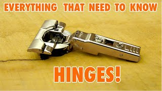 Cabinet Door Hinges  Everything you need to Know [upl. by Lianne]