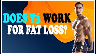 Does T3 Work for Fat Loss [upl. by Ahsratan]