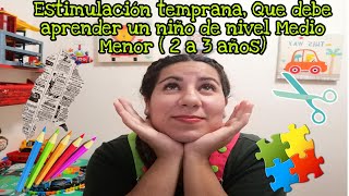 Estimulación temprana ¿Qué debe aprender un niñoa de nivel Medio Menor 2 a 3 años [upl. by Halfdan]