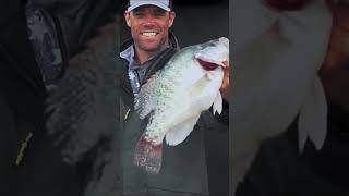 Record 426 lb Crappie weighed in on Grenada Lake MS  crappie crappiefishing bigfish livescope [upl. by Inele]