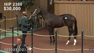 Keeneland Live Feed [upl. by Artimas]