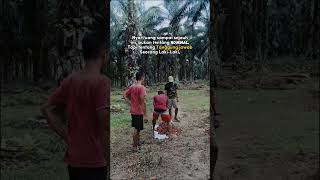 Tanggung Jawab Seorang Lelaki shortvideo shortsfeed muatsawitketruk [upl. by Gunner]