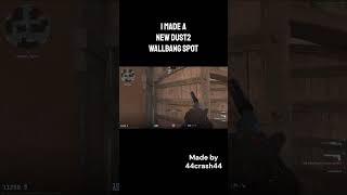 New Dust 2 Wallbang 2024 [upl. by Marisa]