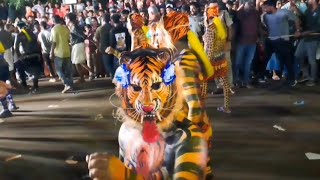 Pulikali Festival 2024 Part 1  Tiger Dance of Thirissur  புலிக்களி  pulikali [upl. by Kant493]