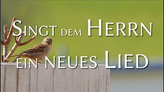 Singt dem Herrn ein neues Lied Lyric Video [upl. by Dearden]