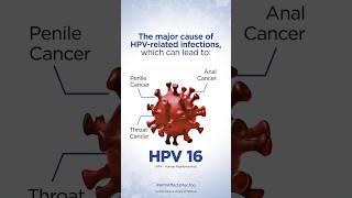 HPV Facts Every Man Should Know seruminstituteofindia [upl. by Yvehc]