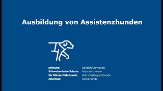 Ausbildung von Assistenzhunden – Einräumen der Waschmaschine [upl. by Krik]