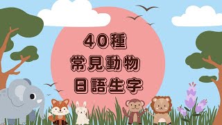 【日語單字】40種常見動物Animal生字日文單字｜輕輕鬆鬆學日語單字篇 Ep 10 中ENG對照） [upl. by Wilhelmina]