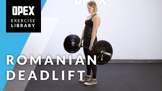 Romanian Deadlift  OPEX Exercise Library [upl. by Eiramanitsirhc983]