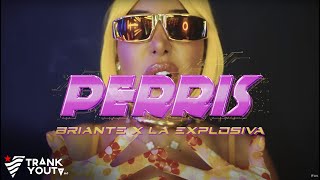 Briante x La Explosiva  PERRIS Video Oficial [upl. by Biddy]