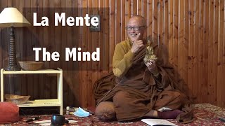 Bhante Sujiva  La Mente The Mind [upl. by Metah]