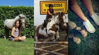 Paardrijden is geen sport het is meer dan dat  I♥horses [upl. by Mayda890]