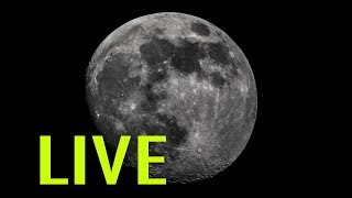 LIVE Moon Watching  Backyard Astronomy from the UK  Dobsonian Telescope [upl. by Gally553]